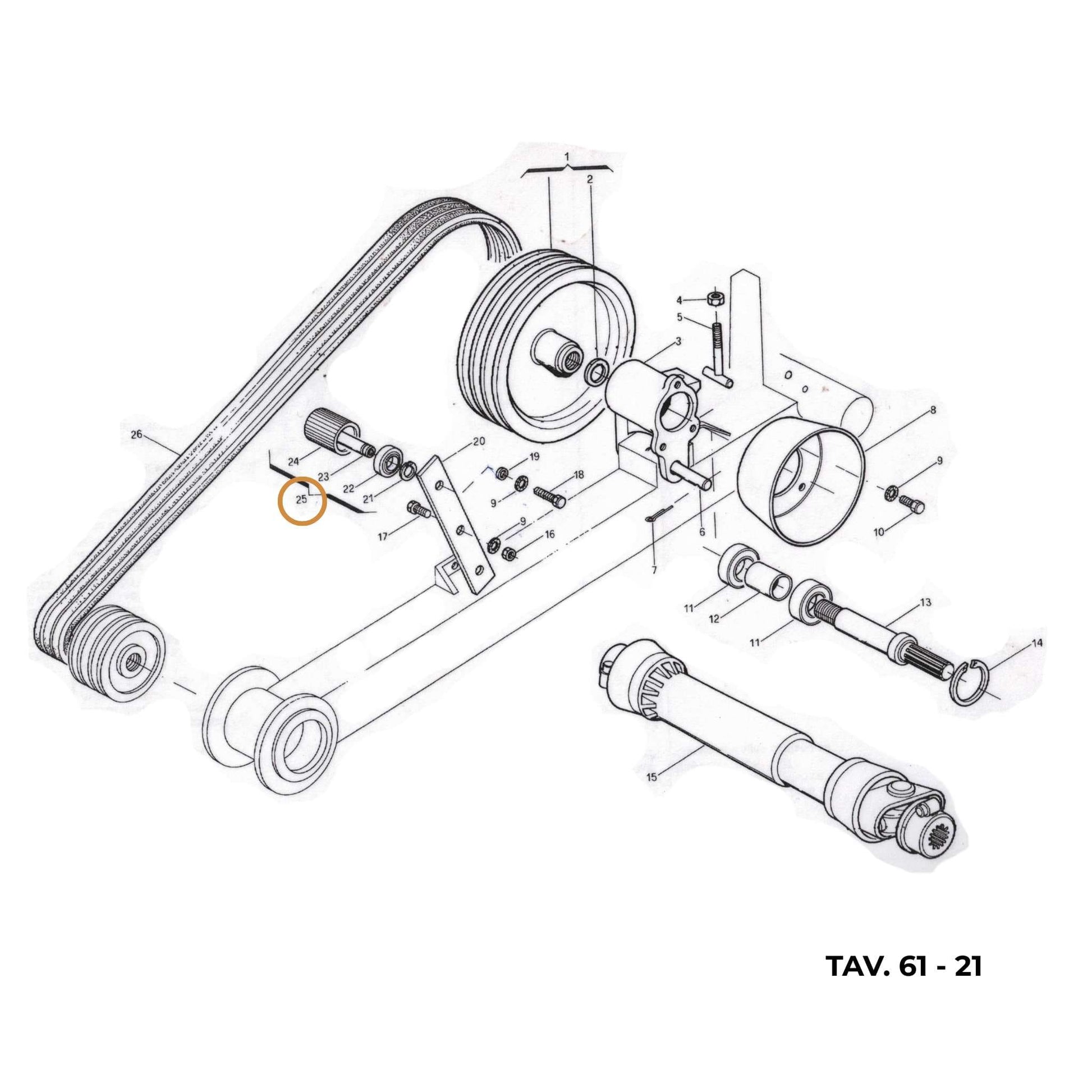 Rodillo tensor original Gaspardo ref. 21120121 en posición 25. Polea tensora cilíndrica con rodamiento blindado integrado para transmisión de correas.