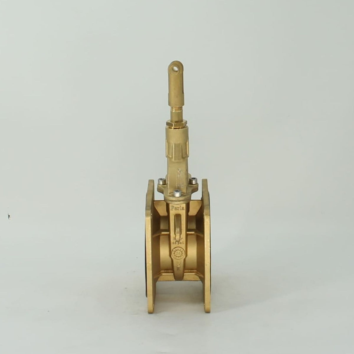 Tajadera o compuerta de válvula manual Riv de 100 mm (4 pulgadas) de diámetro, macho, sin manillas y diseñada para su uso en cubas y cisternas de riego y purín.
